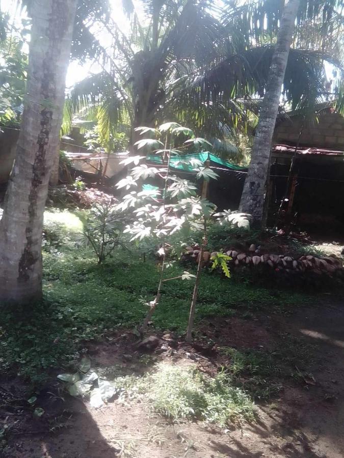 Apartamento Thomasz House Ahangama Exterior foto